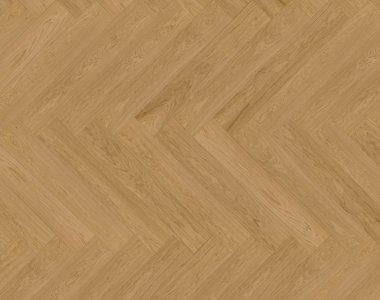 Dąb Gascogne (Capitol Reef) EVO - jodełka