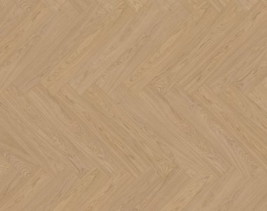 Dąb Spessart (Nordens Ark) EVO - jodełka