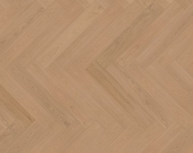 Dąb Tayrona (Pirin) EVO - jodełka