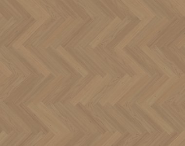 Dąb Acadia (Thousand Islands) OLIO - jodełka