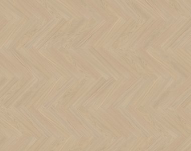 Dąb Morvan (Outer Banks) OLIO - jodełka