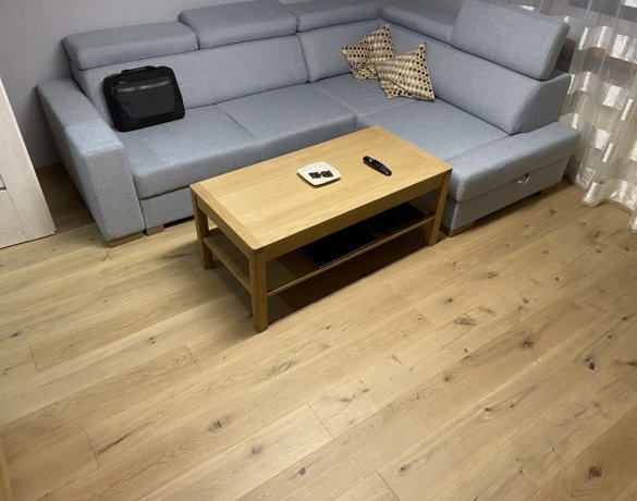 Parkiet Hajnówka: kastor