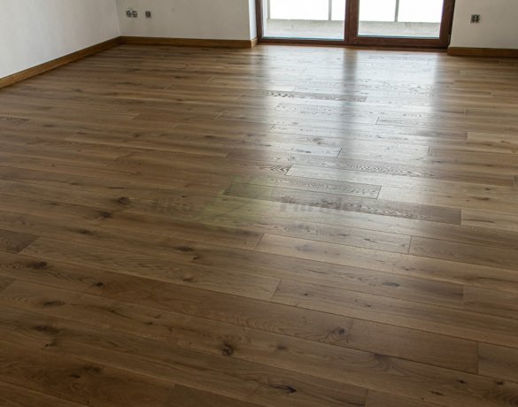 Parkiet Hajnówka: Dąb Vecchia 'R'