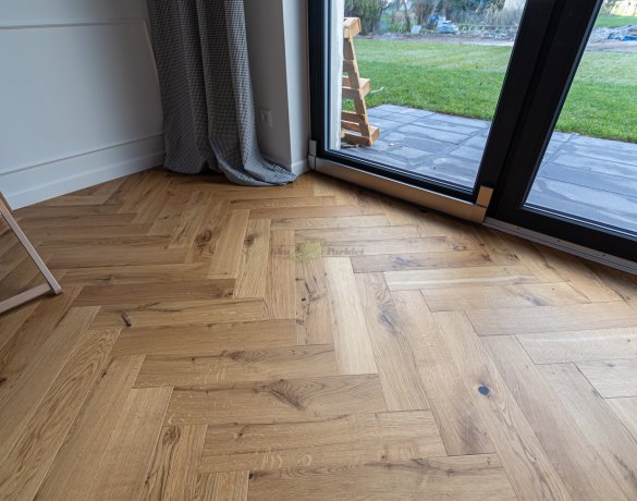 Parkiet Hajnówka: Dąb Sahara 'R' - jodła klasyczna