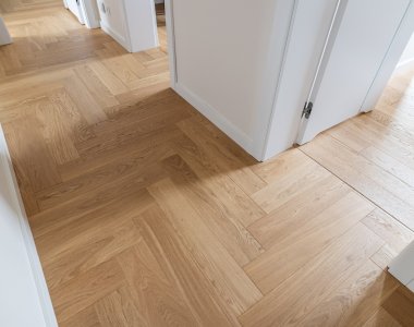 Parkiet Hajnówka: Dąb Sesame 'ST' - jodła klasyczna