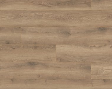 Dureco Strong - Dąb Arousa 1101260036