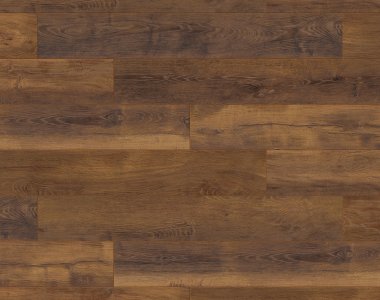 Dureco Strong - Dąb Jamaica 1101260046