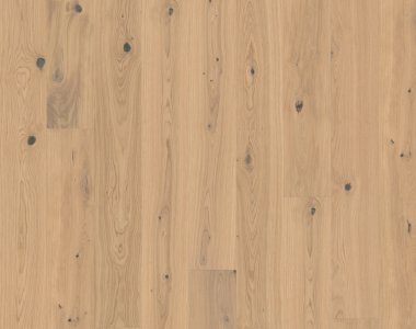 Life Authentic: Oak Turmeric Plank