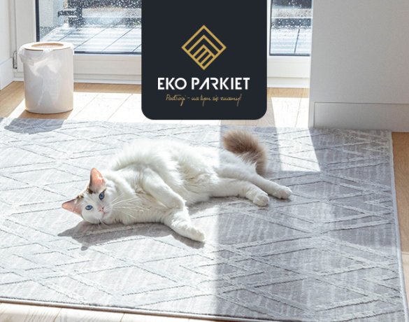 Wpływ promieniowania UV na podłogi drewniane – jak zabezpieczyć powierzchnię?