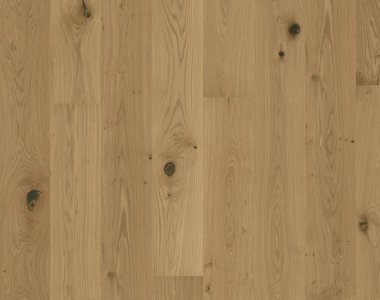 Flora Collection: Aster olej