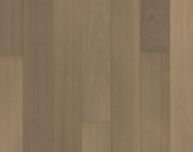 Capital Collection: Berlin