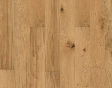 Avanti Collection: Cosenza