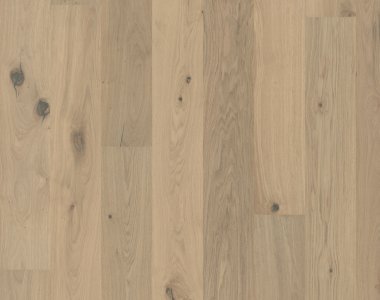 Flora Collection: Edelweiss