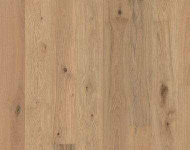 Flora Collection: Gentian