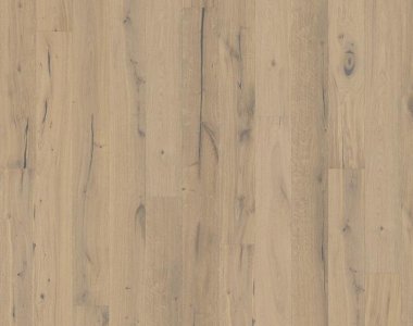 Founders Collection: Gustaf