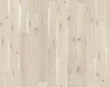 Classic Nouveau Collection: Lace