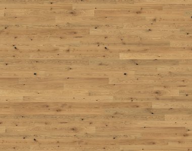 Canvas Collection: Etch