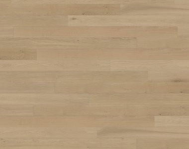 Canvas Collection: Fawn