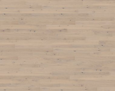 Canvas Collection: Mostra