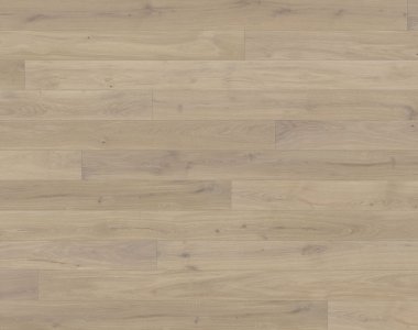 Canvas Collection: Muse