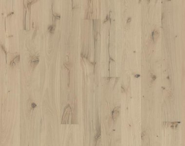 Boardwalk Collection: Pallido