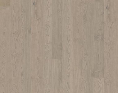 Lux Collection: Shore