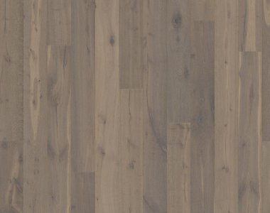 Founders Collection: Sture