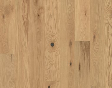 Flora Collection: Yarrow