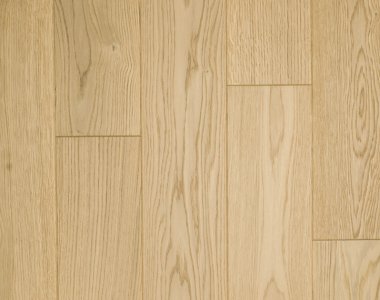 Gray World - Dąb Bahamy