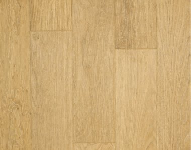 Gray World - Dąb Madagaskar