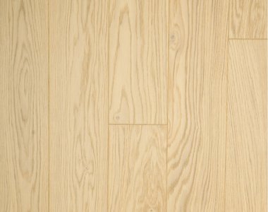 Gray World - Dąb Santorini