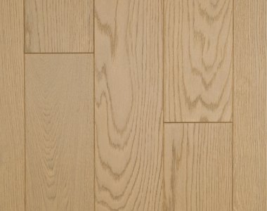 Gray World - Dąb Zanzibar