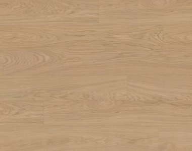 Dąb Nordens Ark EVO