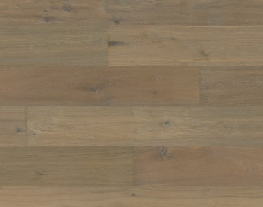 Dąb Great Basin OLIO