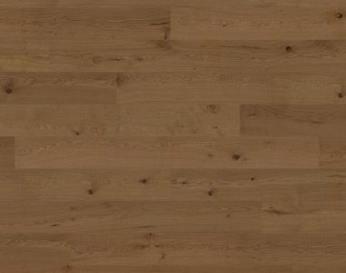 Dąb Riding Moutnain OLIO