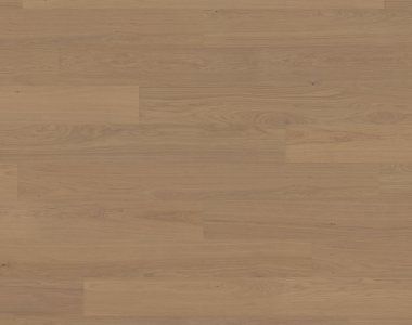 Dąb Thousand Islands OLIO