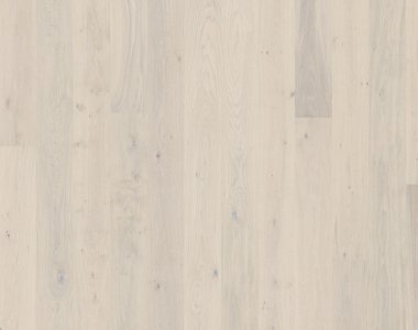 Dąb Bielony - deska klasyczna