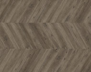 Dąb Canberra - chevron