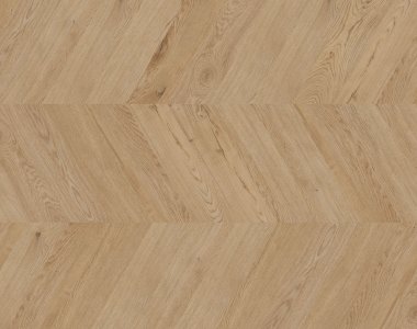 Dąb Dublin - chevron