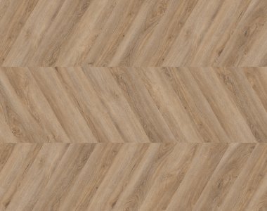 Dąb Malaga - chevron