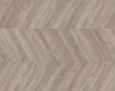 Dąb Oslo - chevron